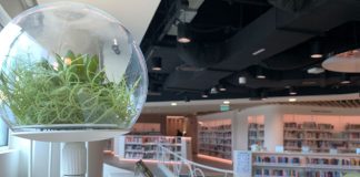 Choa Chu Kang Public Library: Reconnect With Nature At The Lot One Shoppers’ Mall Library