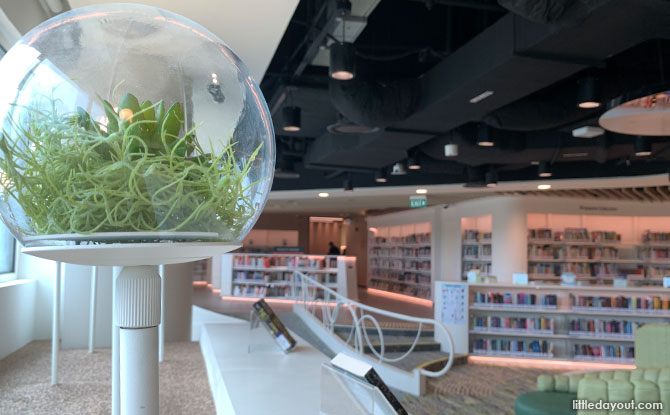 Choa Chu Kang Public Library: Reconnect With Nature At The Lot One Shoppers’ Mall Library