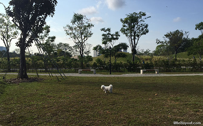 Jurong Lake Park Dog Run - Dog Runs in Singapore