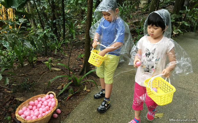 Collecting eggs at the Easter egg Hunt 2019 at Jurong Bird Park