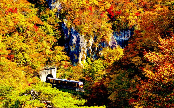 Naruko Gorge (Resort Minori, Rikuu East Line train in Miyagi Prefacture) (Autumn)