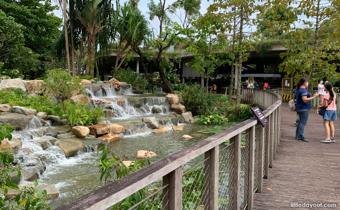 Kingfisher Wetlands: Main Cascades and Natural Rock Pool