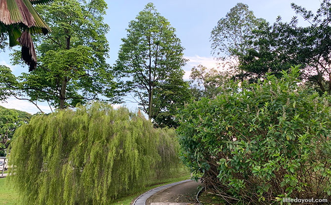 Nature Parks a Short Drive Away