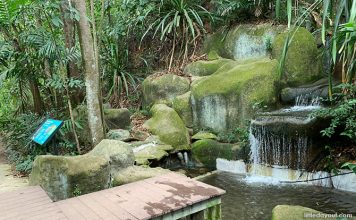 Sentosa Waterfall Mount Imbiah Nature Trail, Sentosa: Dragon Waterfall & Ruins - Little ...