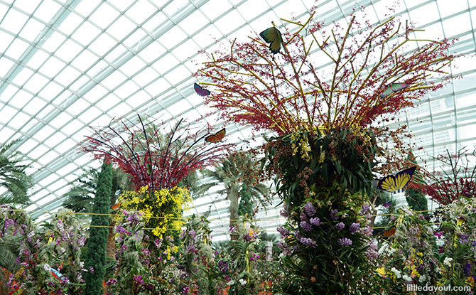 Supertrees inside the Flower Dome, Gardens by the Bay