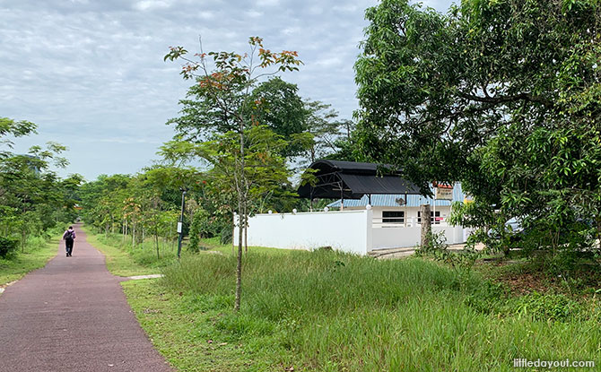 Along the Green Corridor South