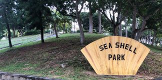 Pasir Ris Seashell Park: Ocean Themed Green Space