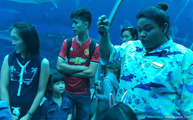 Learning about S.E.A. Aquarium's marine life