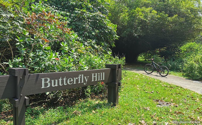 Butterfly Hill