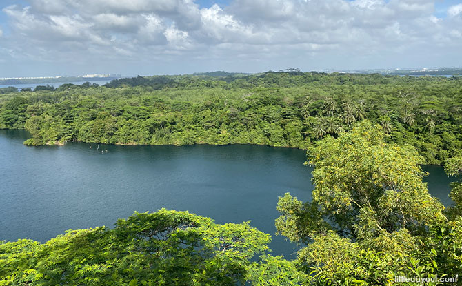 Puaka Hill View