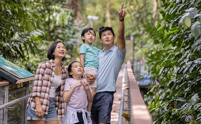 Create Lasting Memories at Sentosa with the Family