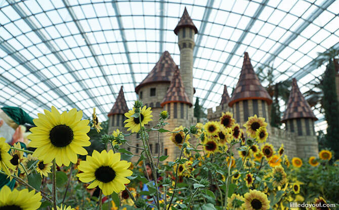 The Land of Oz at Gardens by the Bay