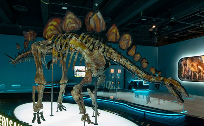 Kid-friendly Museums: Hong Kong Science Museum