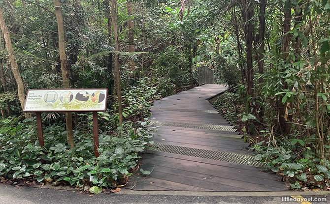 Mangrove Boardwalk, Admiralty Park