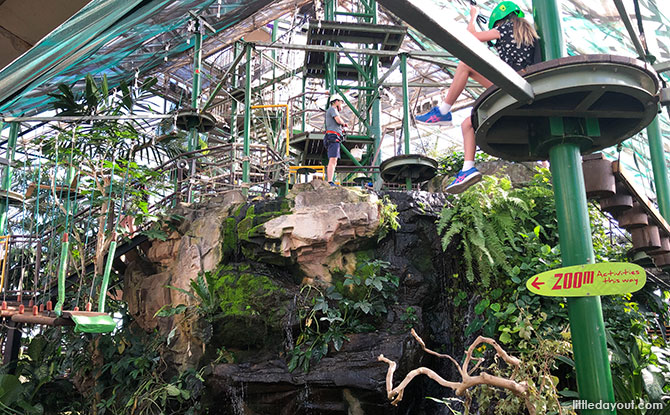 The Cairns ZOOM & Wildlife Dome is located in Cairns, Australia