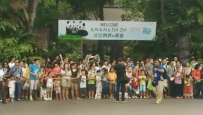 Crowds At Zoo