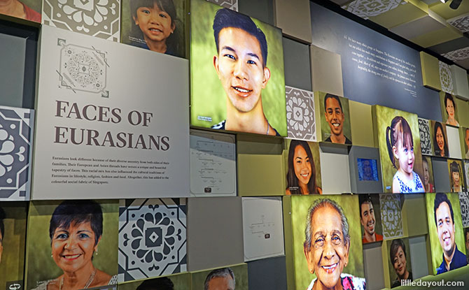 Faces of the Eurasians