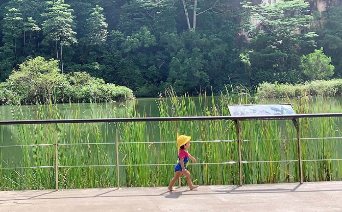 All About Nature Play And @Littlelibrarysg With Yvonne Of @FollowingJoy ...