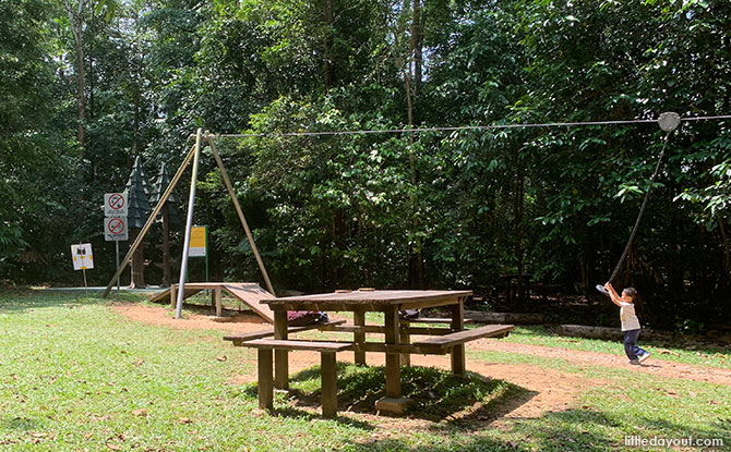 Zipline at Hindhede Nature Park