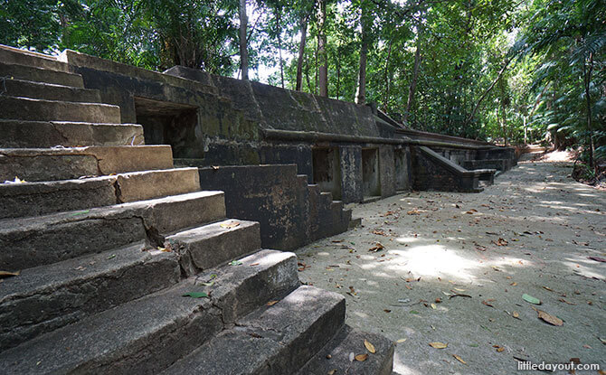 Labrador Battery