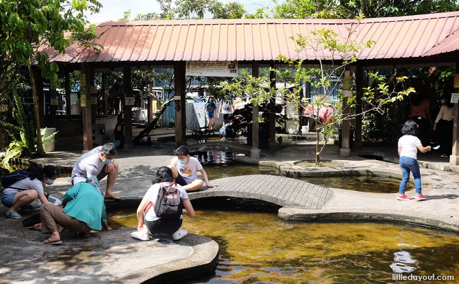 Longkang fishing