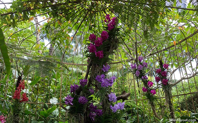 Enchanted Garden