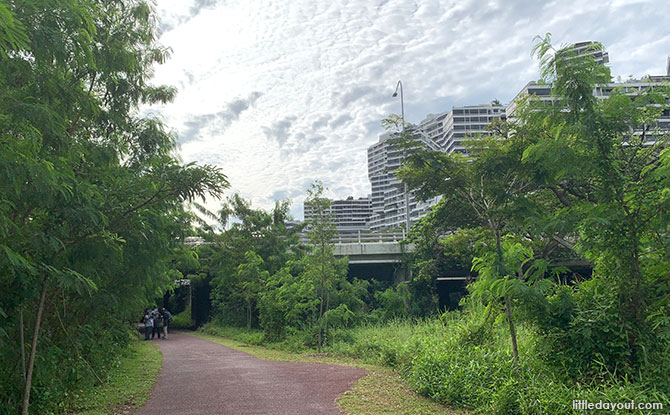 Where the Rail Corridor South meets the AYE