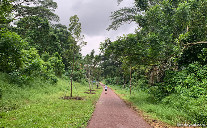 Walking the Rail Corridor