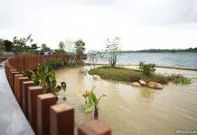 Rower’s Bay: Park Node At Yishun Dam & Lower Seletar Reservoir Rower's Bay