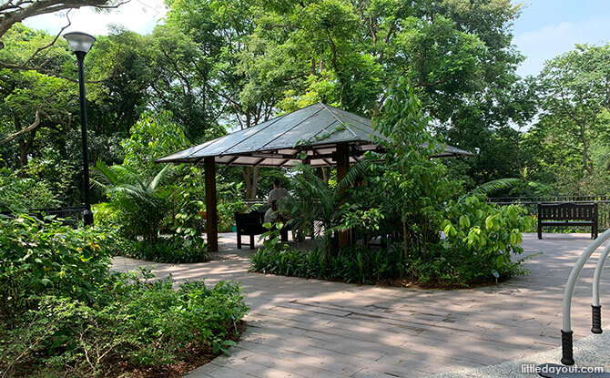 Telok Blangah Hill Park Therapeutic Garden