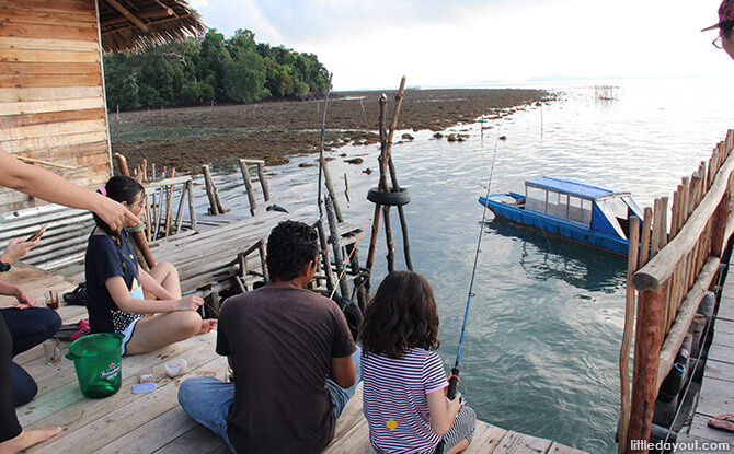 Blue Mountain Kelong Fishing Lesson