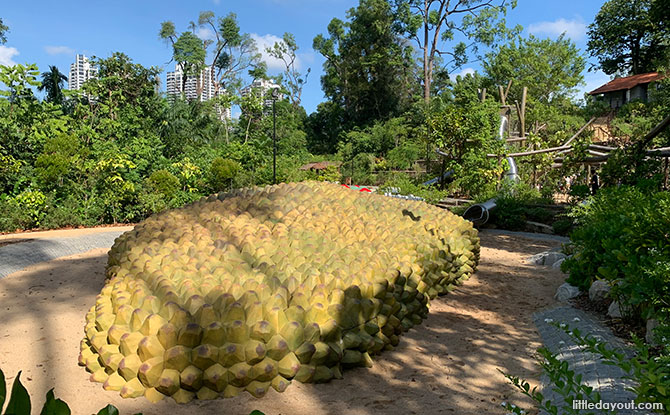 giant cempedak fruit