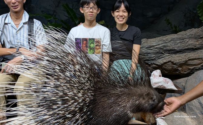 Hello From The Wild: Porcupine Edition Review 3 Photo with Thunder