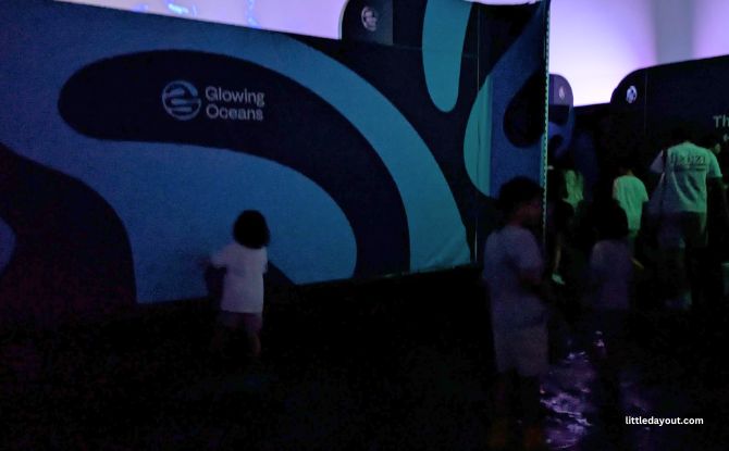 Glowing Oceans: Touch Plankton & See Them Light Up 1 1 40