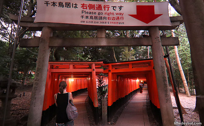 Senbon Torri at Fushimi Inari Shrine