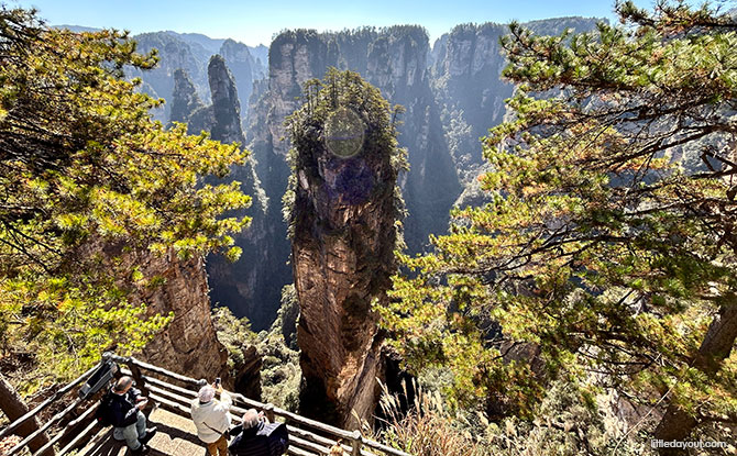 Zhangjiajie: A Nature-Loving Family’s Epic Travel Adventure In Hunan, China 7 Zhangjiajie National Forest Park