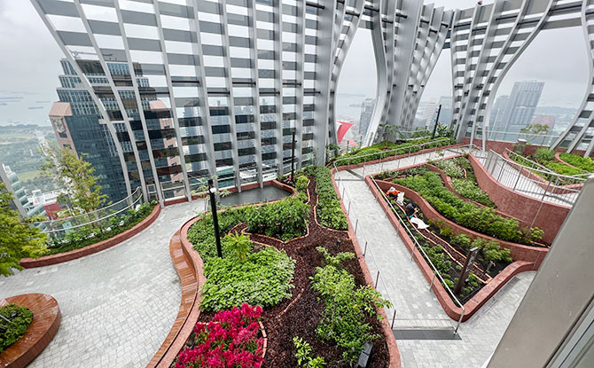 CapitaSpring Sky Garden & Green Oasis: That Top Of The World Feeling