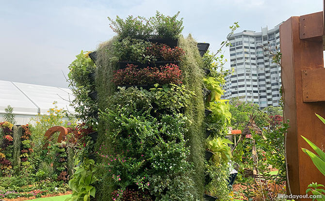 Community Garden Festival 2019 Display