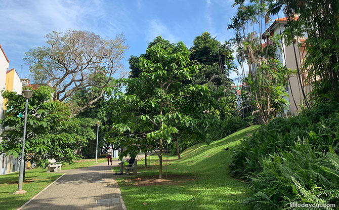 Exploring Duxton Plain Park