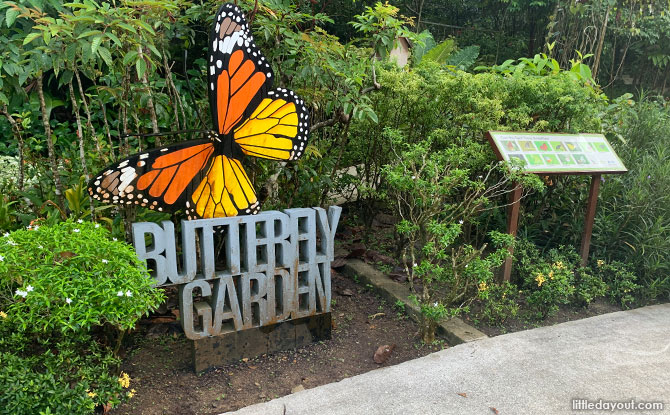 Butterfly Garden