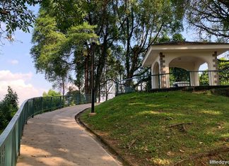 Kent Ridge Park: Tranquility In The Woods Things to See & Do at Kent Ridge Park