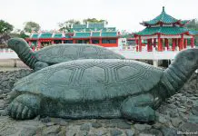 Kusu Island: 8 Things To See And Do On The Tortoise Island Kusu Island: 8 Things To See And Do On The Tortoise Island