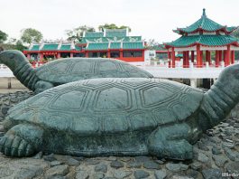 Kusu Island: 8 Things To See And Do On The Tortoise Island