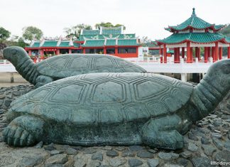 Kusu Island: 8 Things To See And Do On The Tortoise Island Kusu Island: 8 Things To See And Do On The Tortoise Island