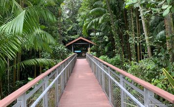 Sentosa Waterfall Mount Imbiah Nature Trail, Sentosa: Dragon Waterfall & Ruins - Little ...