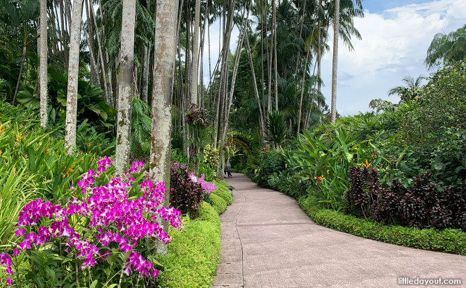 National Orchid Garden, Singapore