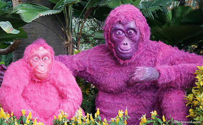 Orang utans at Gardens by the Bay