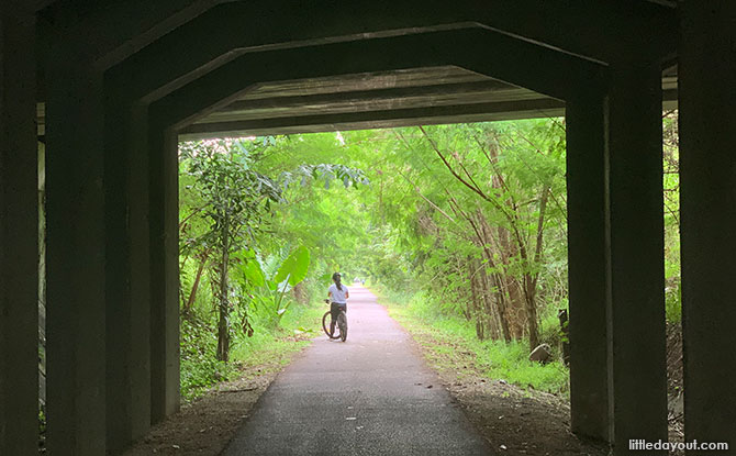 Rail Corridor