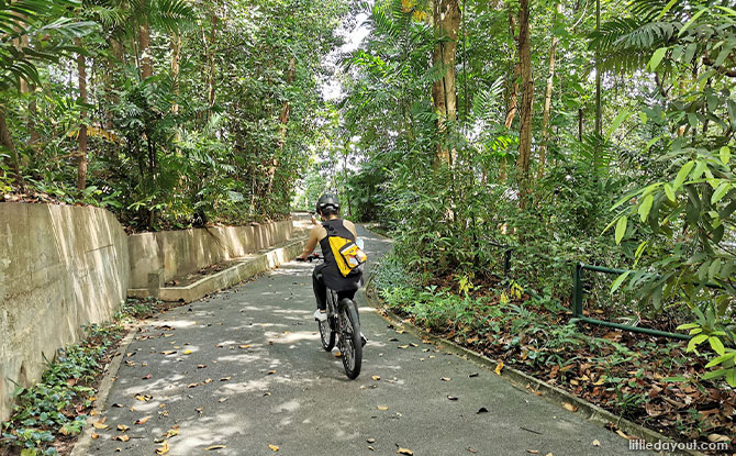Try Cycling at Sentosa for Family Fun