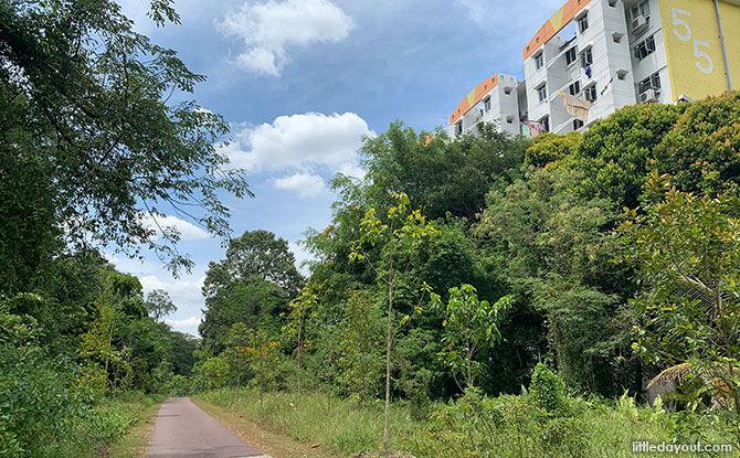 walk from Tanglin Halt to Wessex Estate